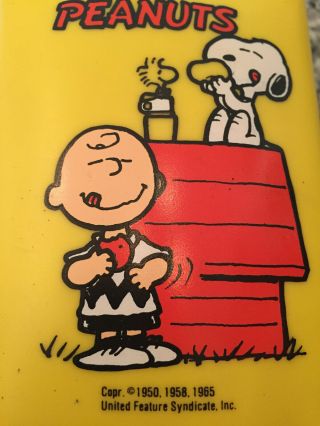 Vintage 1965 Peanuts Charlie Brown Snoopy And Woodstock 8oz Thermos King Seeley