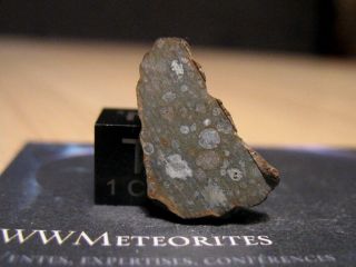 Meteorite Nwa 10305 - Carbonaceous Chondrite,  Cai Rich - Cv3