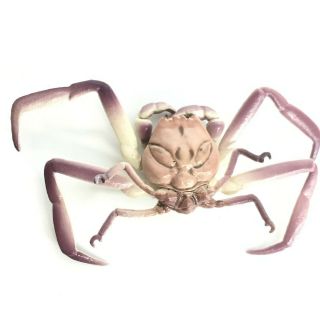 Kaiyodo Capsule Q Museum Mini Figure Heikegani Samurai Crab Heikeopsis Japonica