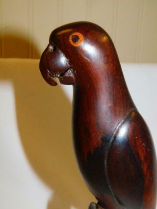 Vintage Hand Carved Wood Mahogany Bird Figurine Parrot Parakeet Figure 10 "