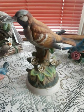 Fine Porcelain ❋ Angeline Originals ❋ House Sparrow ❋ Hand Painted