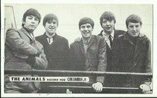 Postcard - Music Group " The Animals " - Details Of Recordings,  Columbia Records