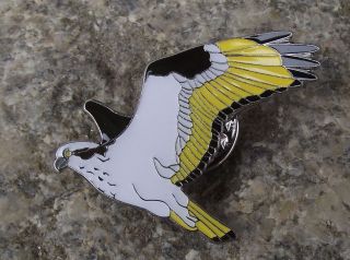 North American Fish Hawk River Eagle Osprey Prey Bird Brooch Raptor Pin Badge