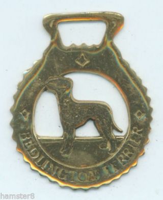 Bedlington Terrier Horse Brass (n636)