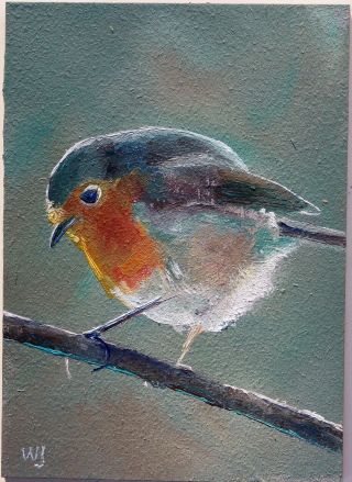 Aceo - William Jamison Miniature Oil Painting Robin Red Breast Bird