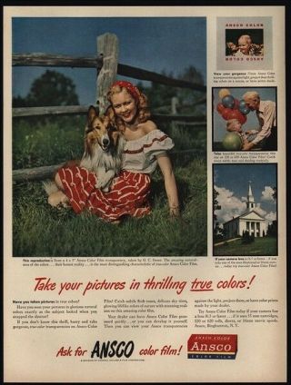 1948 Pretty Girl & Collie Dog - Ansco Color Film Vintage Ad
