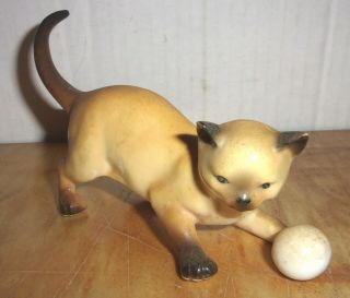 Vintage Seal Point Siamese Cat Playing With Ball -