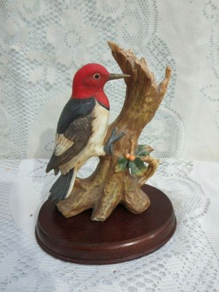 Mr Or Ma Red Headed Woodpecker Porcelain Figurine W/ Wood Base
