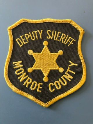 Michigan State Police Patch Deputy Sheriff Monroe County