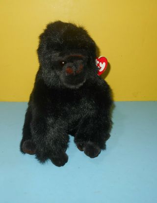 1995 Ty Gorilla Toy Stuffed Animal Baby George Gorilla Plush 11 " Ty Baby Ape