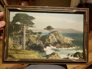 Hand Tinted Oil Colored " Bear Photo " 62 Midway Point On 17 Mile Drive Monterey