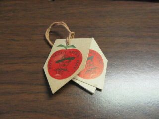 Canada Boy Scout Apple Day Paper Tags,  No Date,  Older Looking Scout Uniform Th2