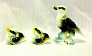 Vintage Hagen Renaker? Bird Ceramic Figurines Seagulls Hawks Mama & 2 Babies