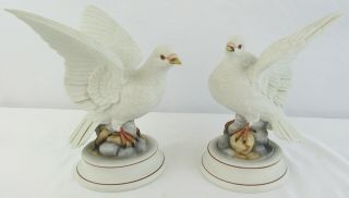 Vintage White Dove Porcelain Figurines Andrea By Sadek Japan 9 "