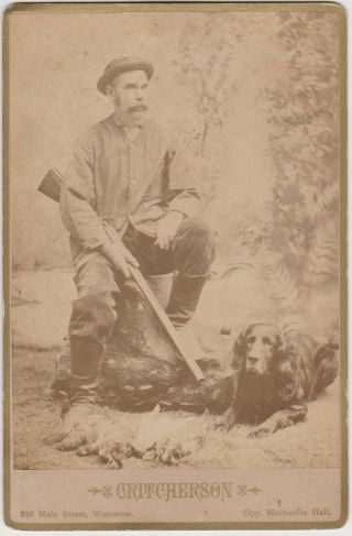 Antique Cabinet Card Photo - Hunter W/ Gun & Golden Retriever Dog - Worcester Ma