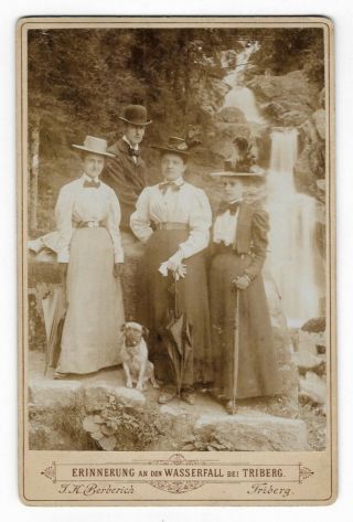 Antique 1898 Pug Dog Group Photo Triberg Waterfalls Umbrellas Cabinet Card