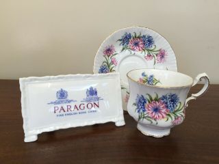 Vintage Paragon Pink & Blue Chrysanthemum Footed Cup & Saucer Set