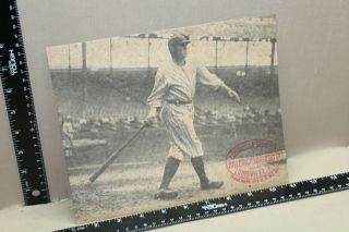 Scarce 1920s Louisville Slugger Baseball Promo Store Display Sign Sporting Bat