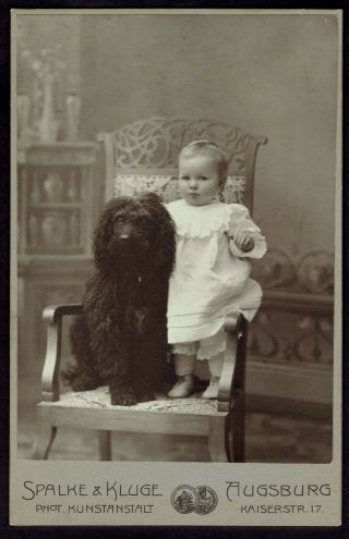 Cdv Cabinet Photo Child With Dog Black & White (3051)