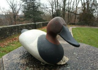 A R Madison Mitchell Of Havre De Grace Maryland Canvasback Drake Duck Decoy 1974