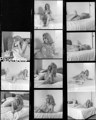 Pd51 - 0738 Vintage B/w 8x10 Scarce Contact Proof Sheet Sweet Solo Nude Model