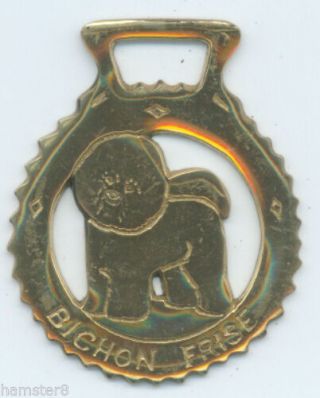 Bichon Frise Horse Brass (n1496)