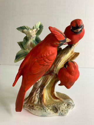 Enesco Cardinal Ceramic Figurine Family 3 Birds Baby Vintage 5.  5 " Tree Branch