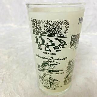 Marineland of the Pacific Glass Tumbler Vintage Park Scenes Los Angeles County 2