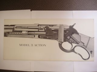 Large Winchester Model 71 Action Poster Advertisement Dealer Sign