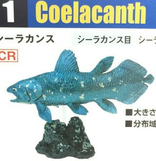 Colorata Fossil Fish Mini Figure Coelacanth Import Japan