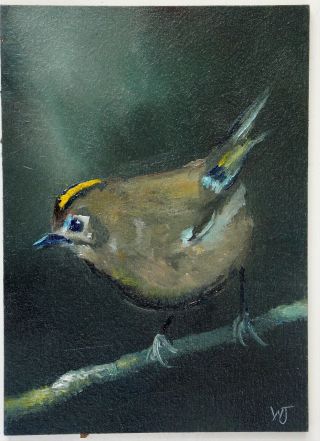 Aceo - William Jamison Miniature Oil Painting Gold Crest Goldcrest Bird