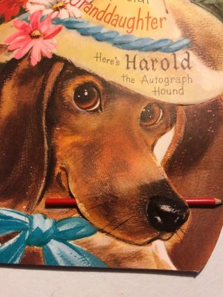 Vintage Greeting Card Dachshund Dog Fold Out Autograph Pencil