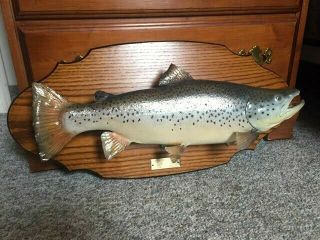 Vintage 1991 Brown Trout Taxidermy Fish Mount