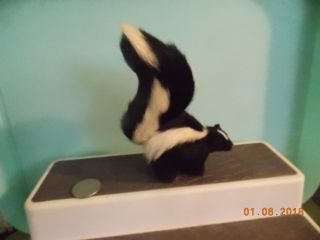 Furry Skunk Figure
