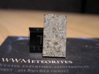 Meteorite NWA 11234 - Chondrite LL3 - Fresh and nicely brecciated 2