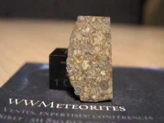 Meteorite Nwa 11534 - Chondrite Ll3 (closely Packed,  Well - Defined Chondrules)