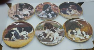 Set Of 6 Puppy Dog Collector Plates By Nigel Hemming,  Franklin,  Ltd Ed