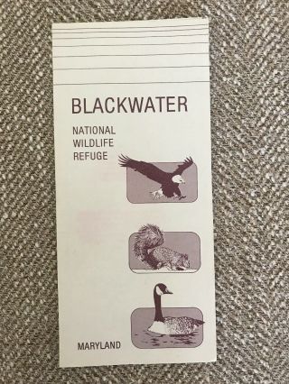 Vintage Brochure Blackwater National Wildlife Refuge Maryland U.  S.  Fish And Wil