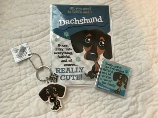 Doxie Card,  Key Chain And Magnet Set From England - Midwest Dachshund Rescue