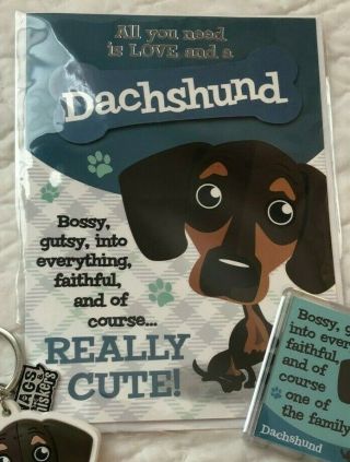 Doxie card,  key chain and magnet set from England - Midwest Dachshund Rescue 3