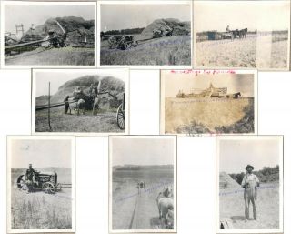 1910s Kansas Wheat Threshing Fordson Tractor Port Huron Thresher Manure Photos