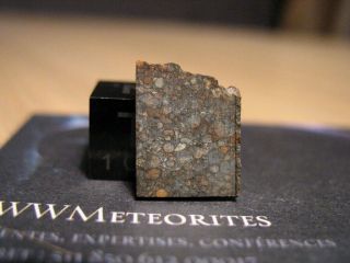 Meteorite Nwa 11539 - Chondrite Ll3 With A Tkw Of Only 71.  3g