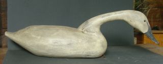 Vintage Swan Decoy,  Surface,  Tac Eye,  31 1/2 "