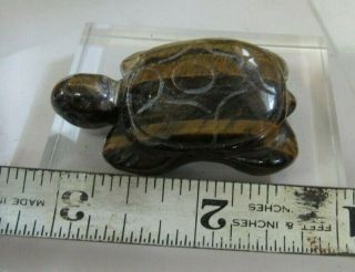 Tiger Eye Stone Turtle Figurine On Acrylic Base Collectibles