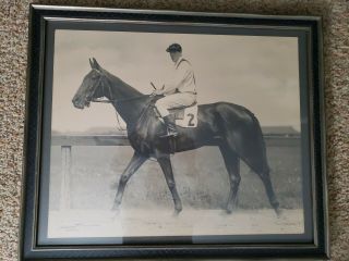 Vintage Horse Racing Photo C.  C.  Cook 1900 