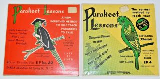 2 Parakeet Lessons 45 Ep Record Unbreakable Dauntless Ama Music Talking Parrot