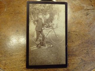 Fantastic Large Imperial Bicycle Cabinet Card Photo Man With Bicycle And His Dog