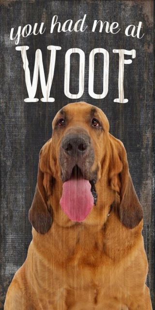 Bloodhound Sign - You Had Me At Woof 5x10