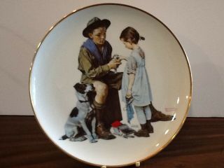 Norman Rockwell 10 1/2 Inch Plate - " The Young Doctor " Boy Scout Bsa G&w/8 - 18