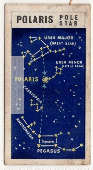 Polaris Pole North Star Ursa Minor Solar System Space Vintage Trade Card